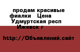 продам красивые фиалки › Цена ­ 120 - Удмуртская респ., Ижевск г.  »    